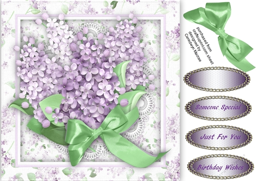 Beautiful Lilac Time 
