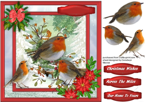 Bbeautiful Robins and Poinsettias 
