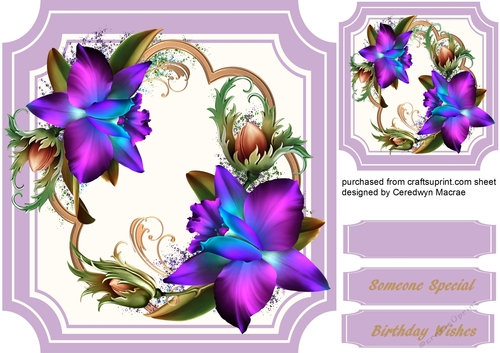 Beautiful Tropical Orchids on Cut-out- Mat