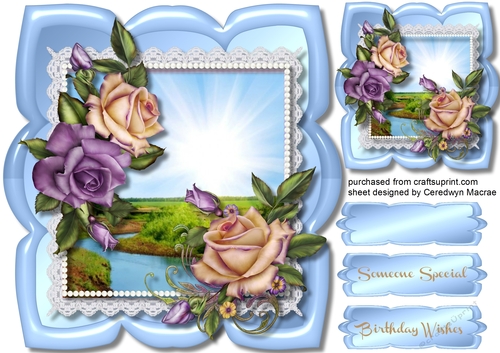 Beautiful Roses in a Petal Frame 