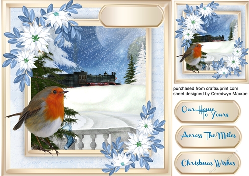 Beautiful Robin at Christmas 