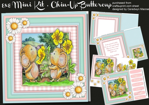 8x8 Mini kit, Chin-Up, Buttercup,