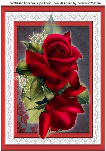 Beautifu A4 With Red Roses on lace 
