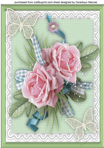 Beautiful A4 With pink Roses and Lace Butterflys 