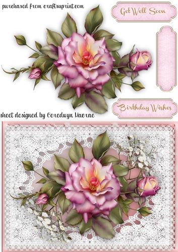 Stunning Roses on Vintage Lace 