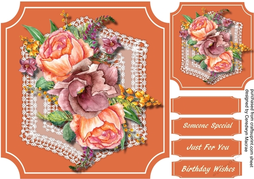 Beautiful Peach roses on Stunning Lace 