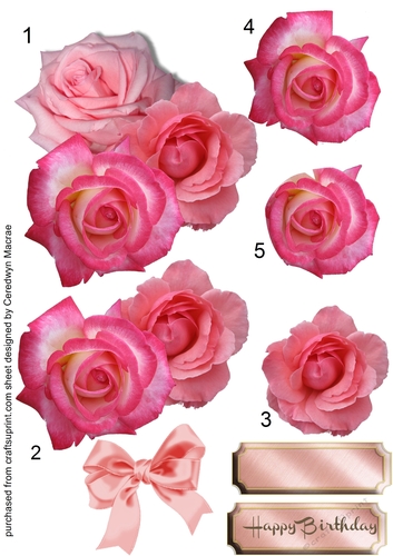 Beautiful Pink Roses and bow 