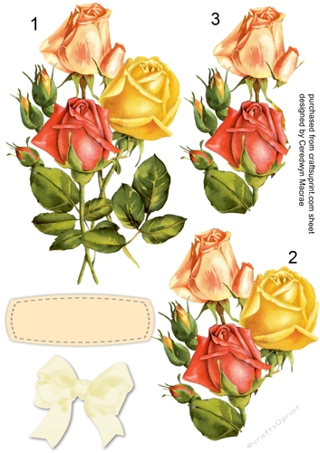 Beautiful Mixed Roses with Bow 