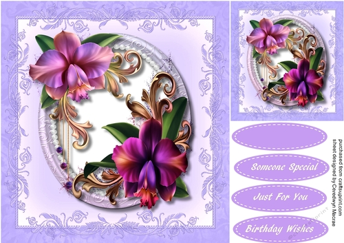 Stunning Orchids in a Oval Frame 