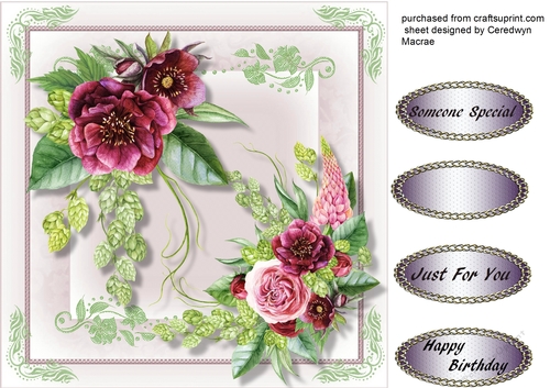 Beautiful Wine  roses on a Double Mat