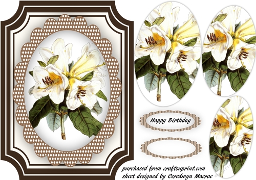 Beautiful White Lillies in a Oval mat 