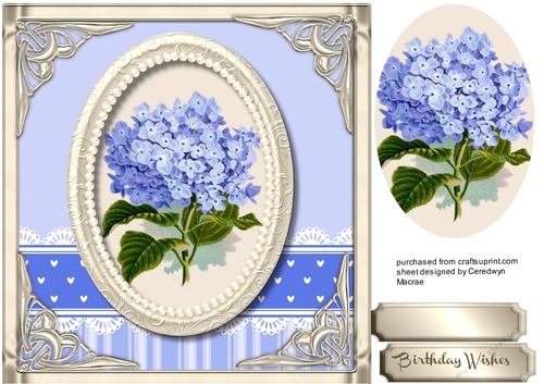 Beautiful Hydrangea on gold mat 