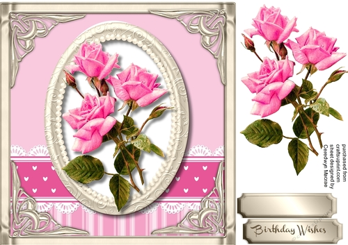 Stunning Pink roses on a Gold Frame 