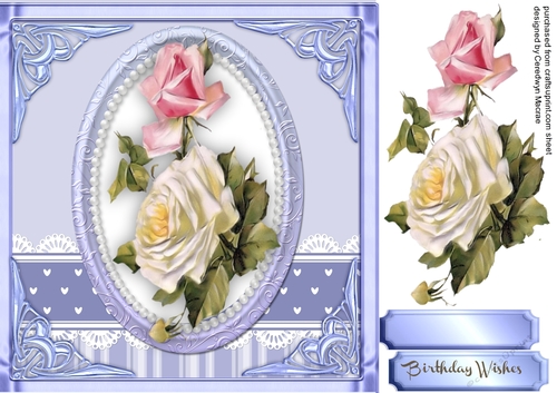 Stunning  roses on a lilac mat