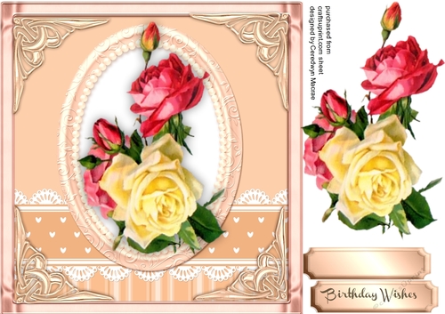 Stunning  roses on a Peach mat