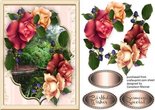 Beautiful Roses and Scene 