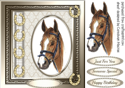 Stunning Horses Head in oval Frame 