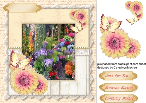Beautiful Dahalias and Garden Scene 