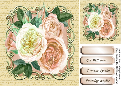 Beautiful Coffee and Cream Roses on a Ornate Mat  5,