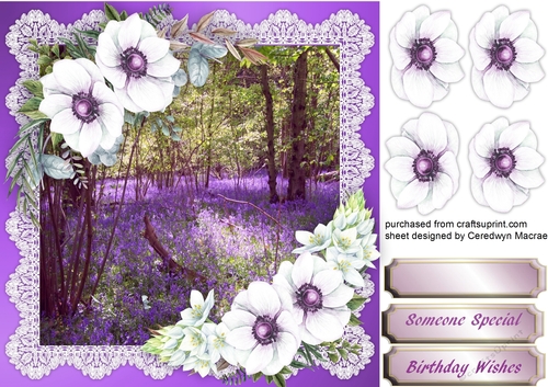 Stunning Bluebell woods and lilac anemones