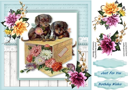 Bbeautiful puppies on a Box of flowers 