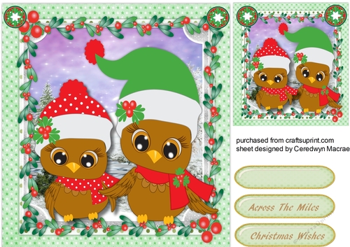 Christmas Owls Dressed For Winter