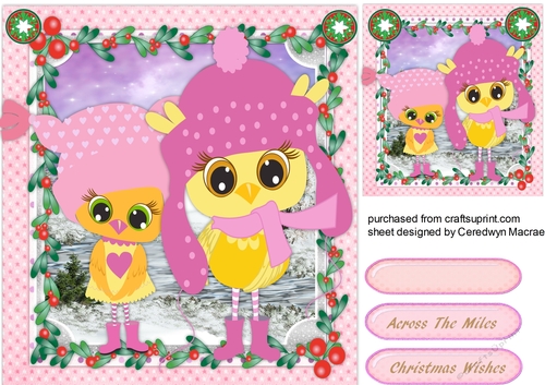 Girl Owls Dressed for the Weather,