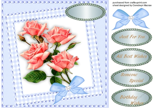 Pink Roses ina Saddle Stitched Frame  1,