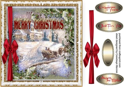 Sleigh Ride in The Snow 