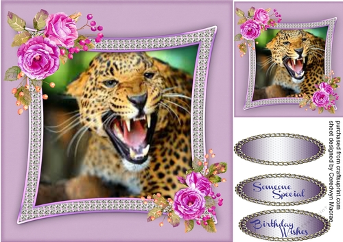 The Roar of The Wild,  1, 