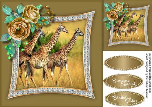 Giraffes on the Serengeti 4