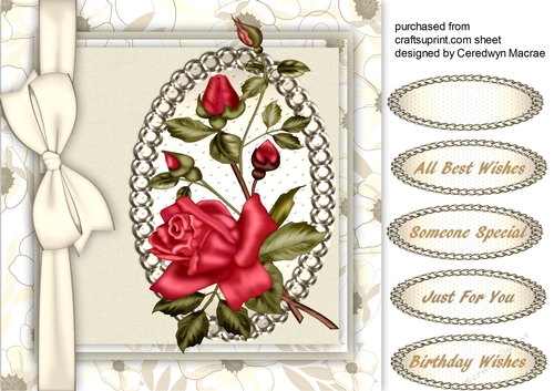 Beautiful Red  rambling Rose  on Sepia 4