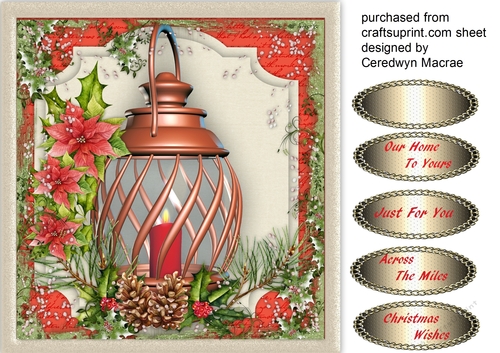 Beautiful Lantern and Poinsettias 