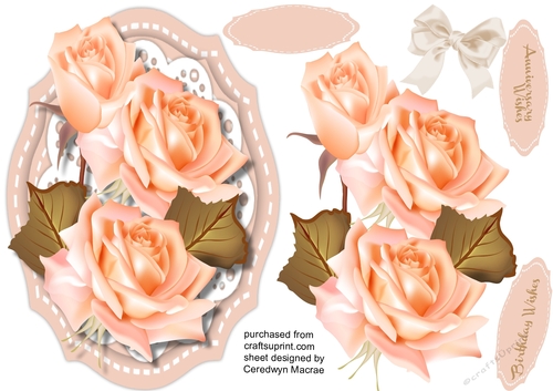 Beautiful Summer Roses 2