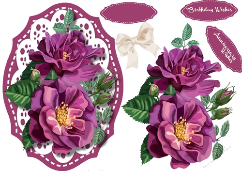 Beautiful Summer Roses 3