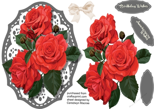 Beautiful Summer Roses 4