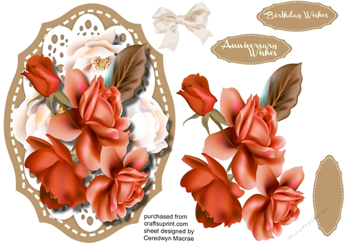 Beautiful Summer Roses 5