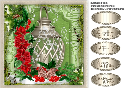 Beautiful Lantern and Poinsettias with pine cones 