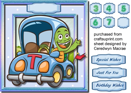 Tommie Turtled With his New Car ,