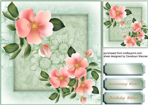 Beautiful Blossom in Sage Fframe 