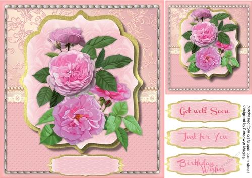 Beautiful Roses on a Bracket Mat  1