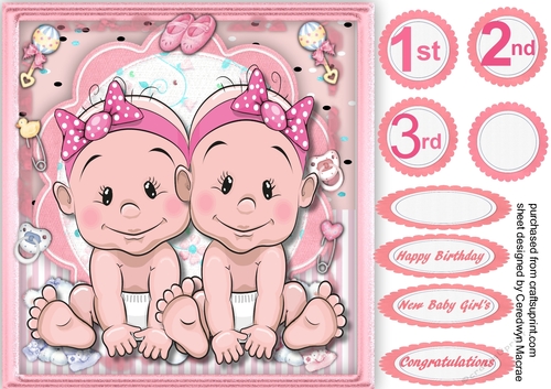 Baby Girls Twin  Birth or Brithday