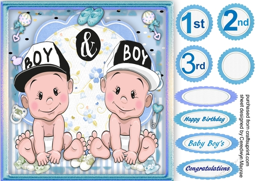 Lovely Twin  Boys   Birth or Brithday