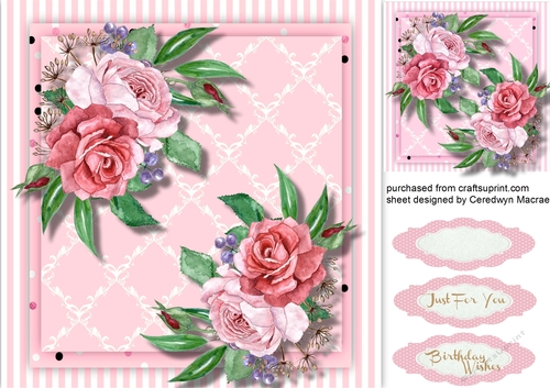 Beautiful Pink roses on Lattice mat 
