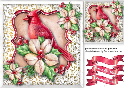 Beautiful Christmas Cardinal and Holly