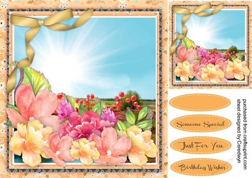 Beautiful Summer Sun and Flowers