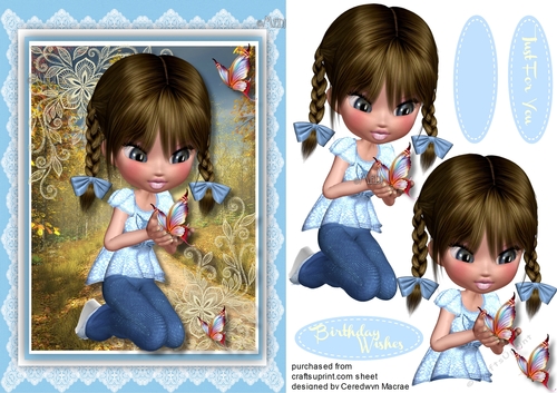 Little Butterfly Catcher