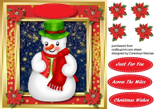 Adorable Christmas Snowman 