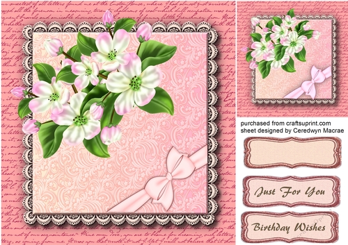Beautiful Apple Blossom on Lace Square 