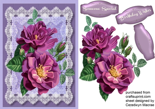 Deep Lilac Roses on Lace 
